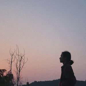 伊人网伊人影院
